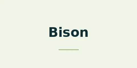 Bison Casino