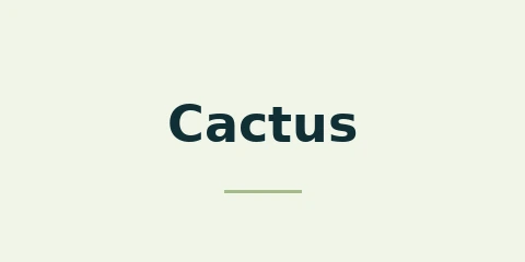 Cactus Casino