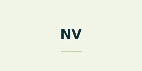 NV casino