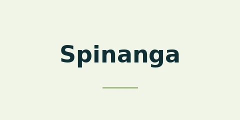 Spinanga Casino