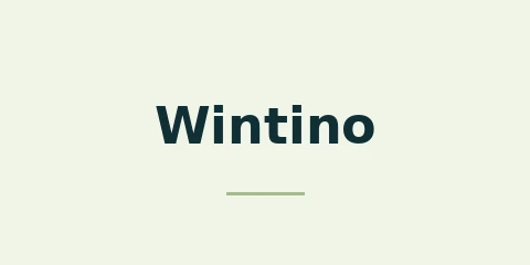 Wintino Casino